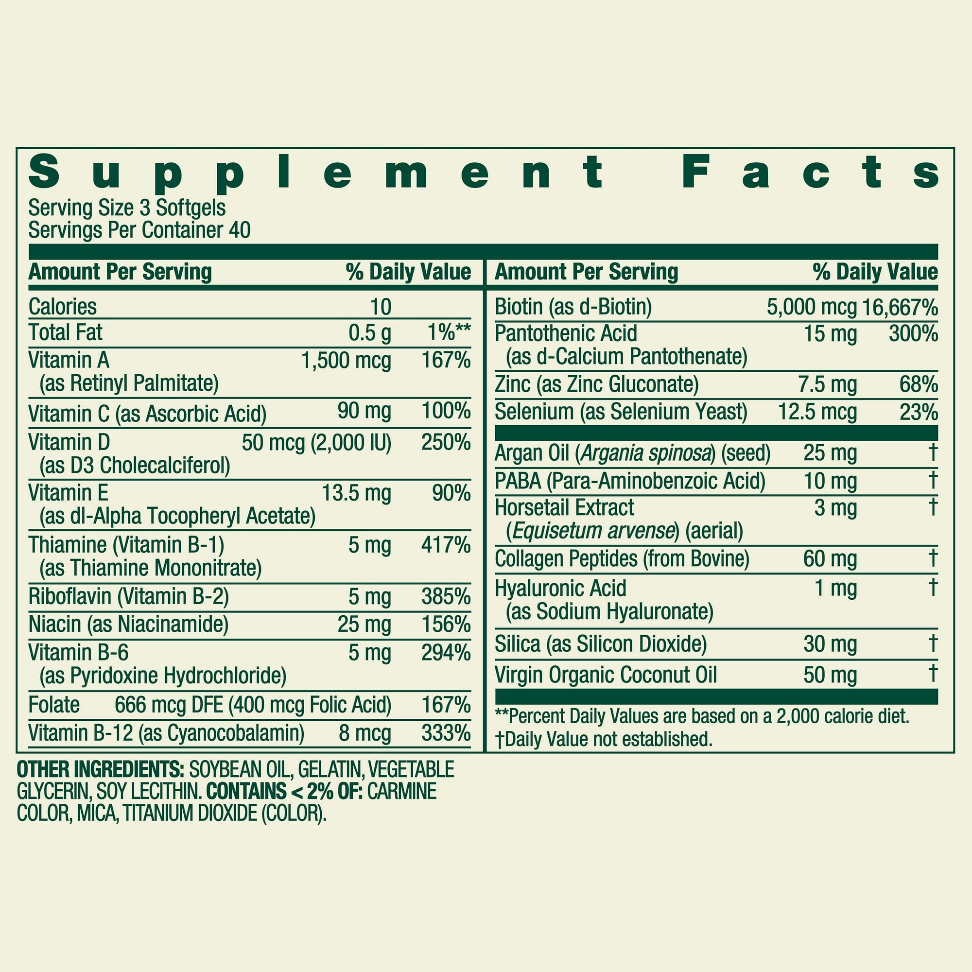 auto draft auto draft